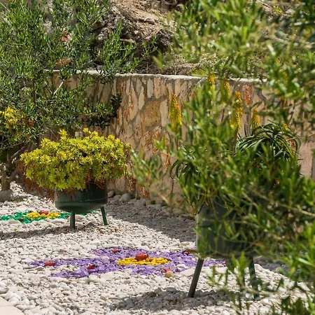 Villa Matusic Dubrovnik